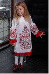 Dress for a girl 