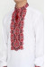 Вишиванка чоловіча «Мирослав» білого кольору з червоним орнаментом