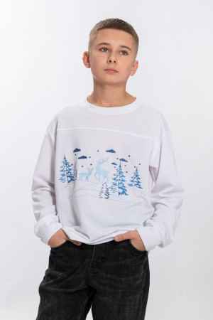 Вишитий світшот для хлопчика «Зимове свято» білого кольору з блакитним орнаментом
