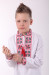 Вышиванка для мальчика «Феерия» с красно-черным орнаментом
