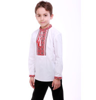 Embroidered shirt for a boy 