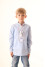 Embroidered shirt for a boy "Apple blossom" in light blue