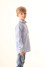 Embroidered shirt for a boy "Apple blossom" in light blue