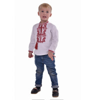 Embroidered shirt for a boy 