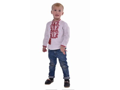 Embroidered shirt for a boy 