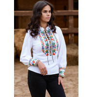 Embroidered shirt 