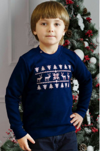 Свитшот для мальчика «Рождественское чудо» синего цвета