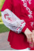 Вишиванка «Паморозь» червоного кольору з білим