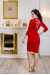 Сукня «Амалія» червоного кольору