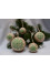 Set of Christmas tree balls "Snowflakes" green