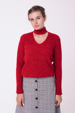 Red jumper 