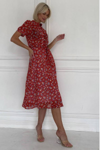 Сукня «Макбет» теракотового кольору з принтом