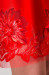 Платье «Брайд» красного цвета