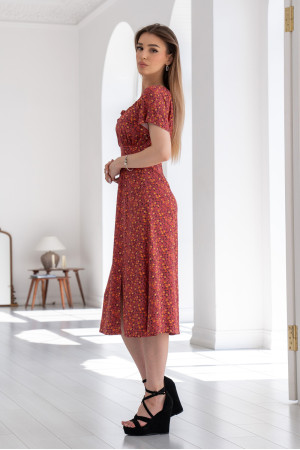 Сукня «Елона» теракотового кольору з принтом