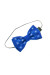 Комплект для хлопчика: краватка-метелик та підтяжки яскраво-синього кольору