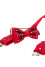 Set for a boy: bow tie and suspenders "Pavlus"