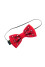 Set for a boy: bow tie and suspenders "Pavlus"