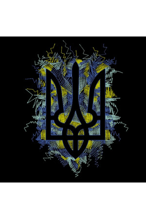 Вышитая футболка «Герб» черного цвета с желто-голубым орнаментом