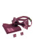 Вышитый комплект «Давид»: галстук-бабочка, платочек, запонки бордового цвета