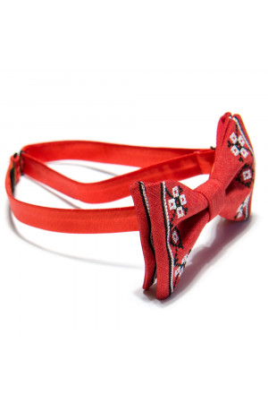 Мужской комплект: галстук-бабочка и подтяжки красного цвета