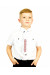 Детский галстук "Верь" с вышивкой