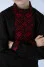 Embroidered shirt for a boy