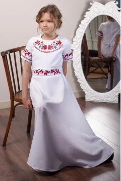 Dress for a girl 