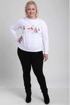 Women's sweatshirt 