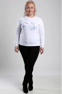 Women's sweatshirt 