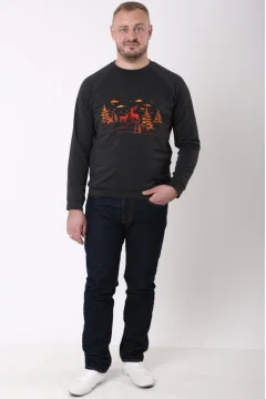 Men's sweatshirt 