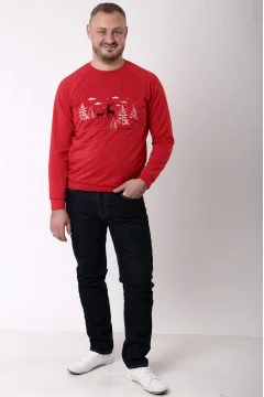 Men's sweatshirt 