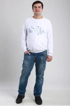 Men's sweatshirt 