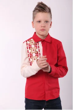 Embroidered shirt for boy 
