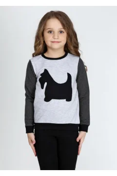 Gray and graphite sweater 