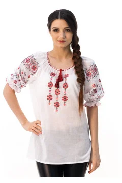 Embroidered shirt "Rosava" with red ornament