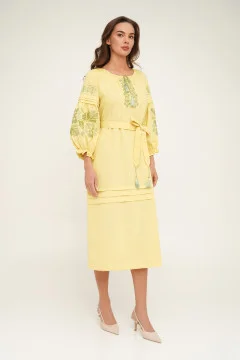 Embroidered dress 