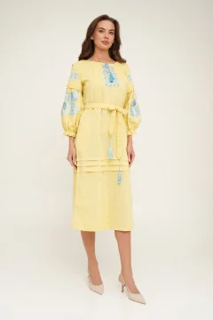 Embroidered dress 