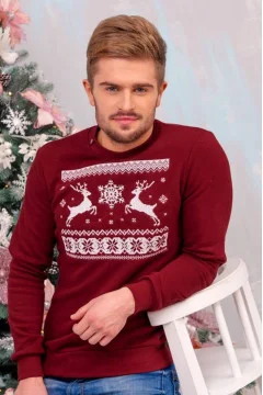 Men's sweatshirt 
