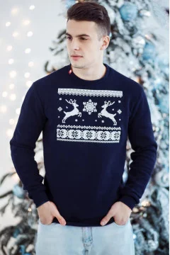 Men's sweatshirt 