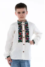 Embroidered shirt for a boy 