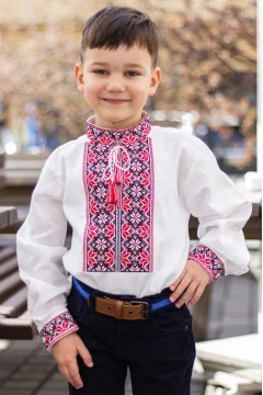 Embroidered shirt for a boy 
