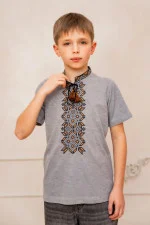 T-shirt for boys "Timko" gray with gold ornament