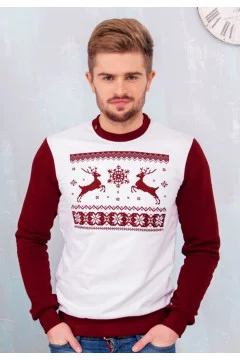 Men's sweatshirt 