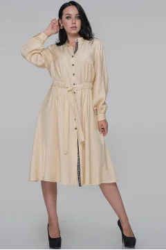 Shirt dress 