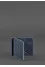 Blue money clip with carbon texture