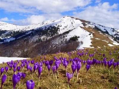 Квітневі подорожі Україною, або 23 найкрасивіших місця, що необхідно відвідати навесні