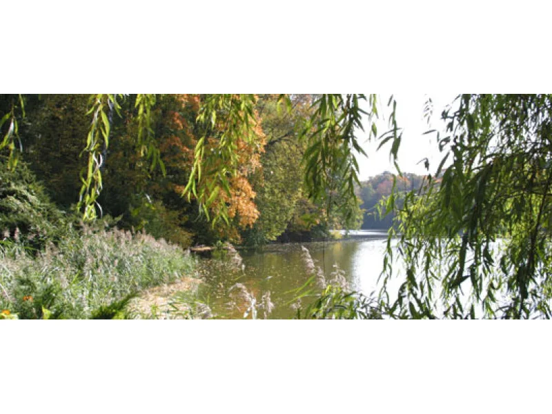 10 most beautiful arboretums in Ukraine or landscapes worth visiting